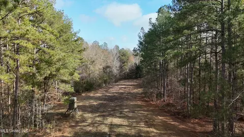 0 Greenhill Rd, Florence, MS 39073 photo 12
