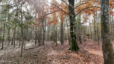 0 Greenhill Rd, Florence, MS 39073 photo 15