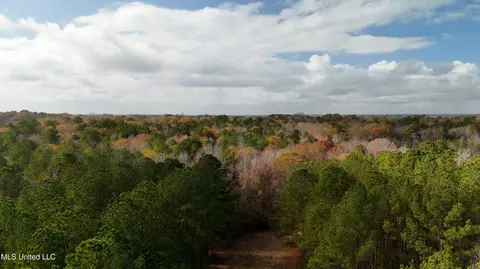 0 Greenhill Rd, Florence, MS 39073 photo 22