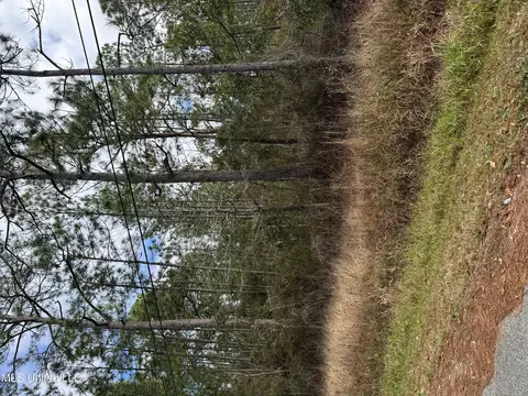 0 Entriken Ave, Vancleave, MS 39565