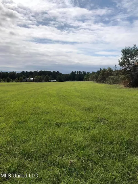 0 Volley Campbell Rd, Terry, MS 39170