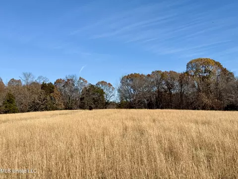 Kelly Ln, Red Banks, MS 38661