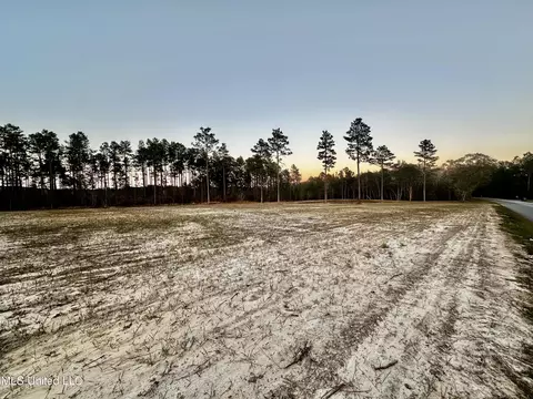 Jackson County Line Road, Lucedale, MS 39452 photo 5