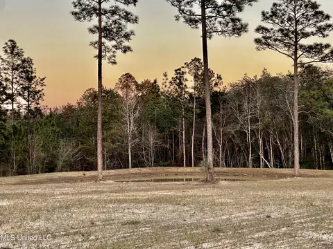 Jackson County Line Road, Lucedale, MS 39452 photo 4