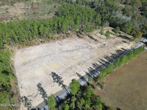Jackson County Line Road, Lucedale, MS 39452 photo 2
