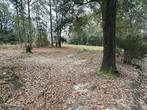 107 Maple St, Lucedale, MS 39452 photo 10