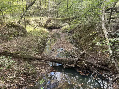 Crews Lane, Crystal Springs, MS 39059