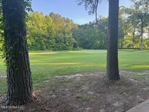 Fairway Drive, Natchez, MS 39120 photo 7