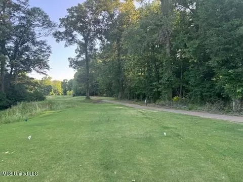 Fairway Drive, Natchez, MS 39120 photo 3