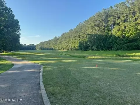 Fairway Drive, Natchez, MS 39120 photo 9