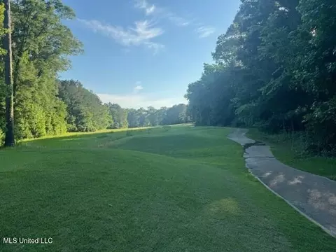 Fairway Drive, Natchez, MS 39120 photo 5