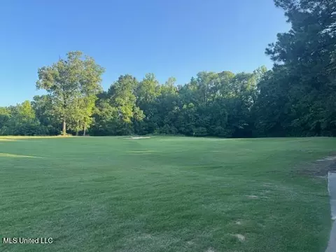 Fairway Drive, Natchez, MS 39120 photo 6