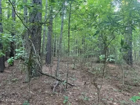 Fairway Drive, Natchez, MS 39120 photo 10