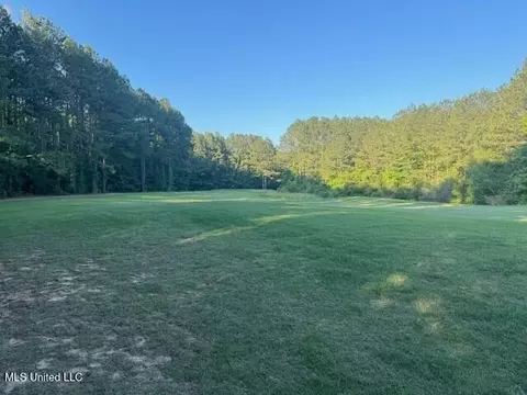 Fairway Drive, Natchez, MS 39120 photo 8