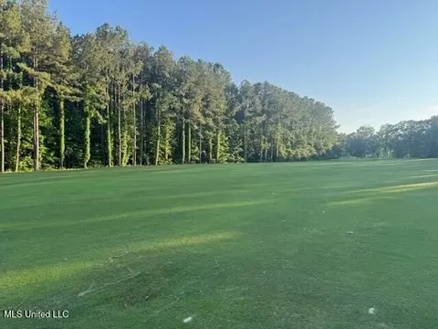 Fairway Drive, Natchez, MS 39120 photo 13