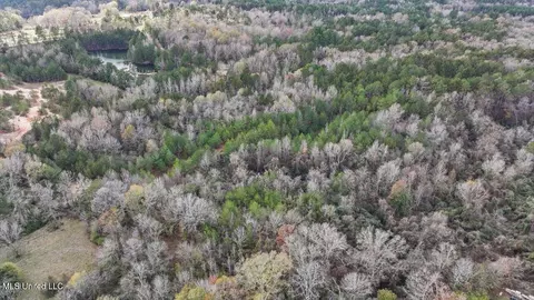 0 Gatesville Rd, Crystal Springs, MS 39059