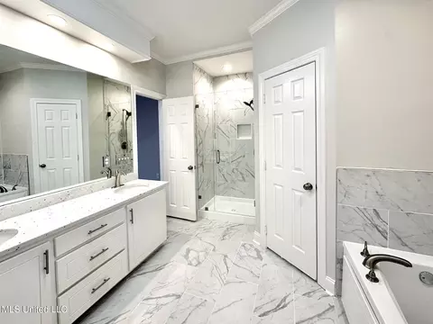 Bath - 136 Trace Cove Dr, Madison, MS 39110 photo 2 of 3