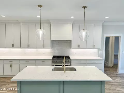 Kitchen - 136 Trace Cove Dr, Madison, MS 39110 photo 1 of 9
