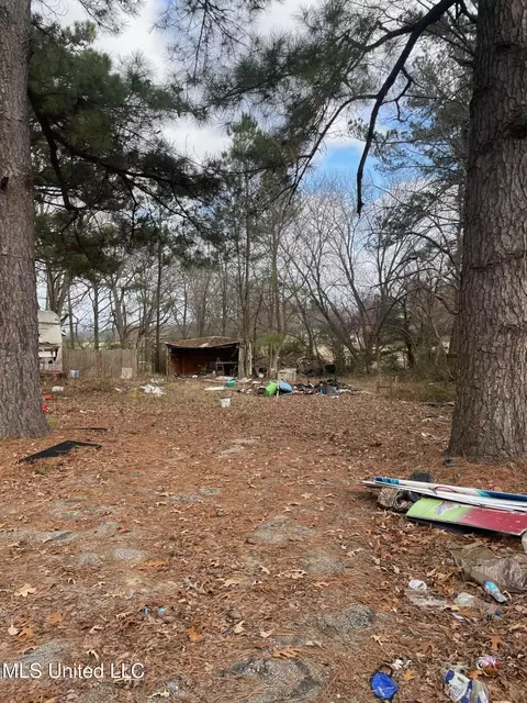 Exterior - 8710 Malone Rd, Olive Branch, MS 38654 photo 5 of 10
