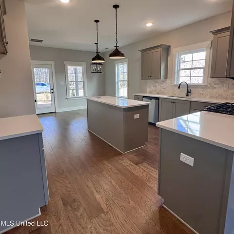 3088 Meadows Way, Hernando, MS 38632 photo 18