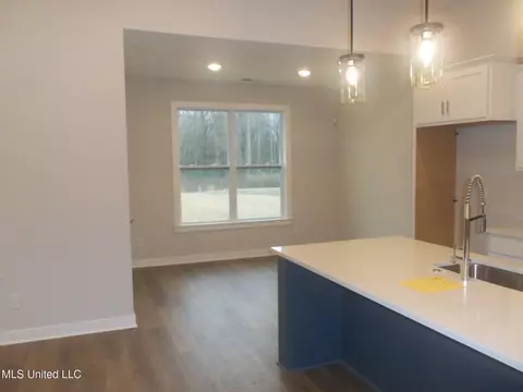 9692 Crape Myrtle Dr, Olive Branch, MS 38654 photo 12