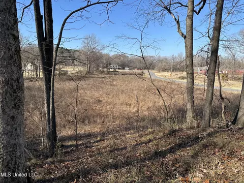 4889 Austin Rd, Nesbit, MS 38651