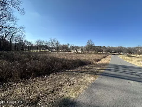 4889 Austin Rd, Nesbit, MS 38651 photo 5