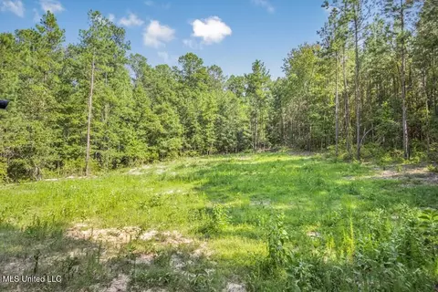 3 Cole Rd, Crosby, MS 39633 photo 22