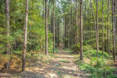 3 Cole Rd, Crosby, MS 39633 photo 14