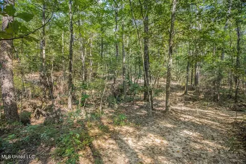 3 Cole Rd, Crosby, MS 39633 photo 17