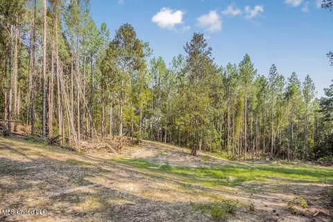 3 Cole Rd, Crosby, MS 39633 photo 13