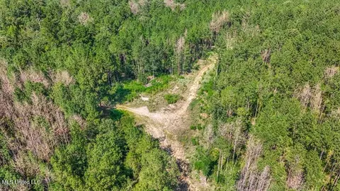 3 Cole Rd, Crosby, MS 39633 photo 21