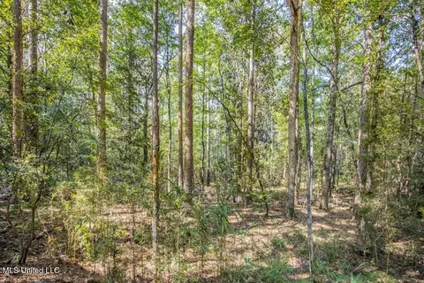 3 Cole Rd, Crosby, MS 39633 photo 16