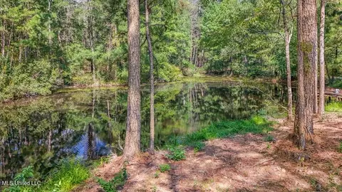 3 Cole Rd, Crosby, MS 39633 photo 20