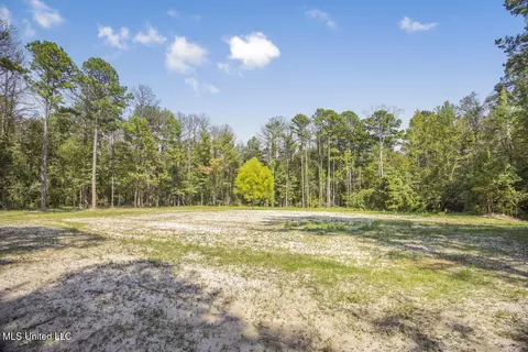 3 Cole Rd, Crosby, MS 39633 photo 3