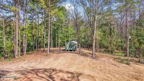 3 Cole Rd, Crosby, MS 39633 photo 19