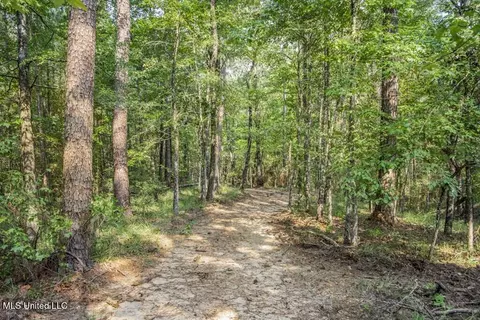 3 Cole Rd, Crosby, MS 39633 photo 15