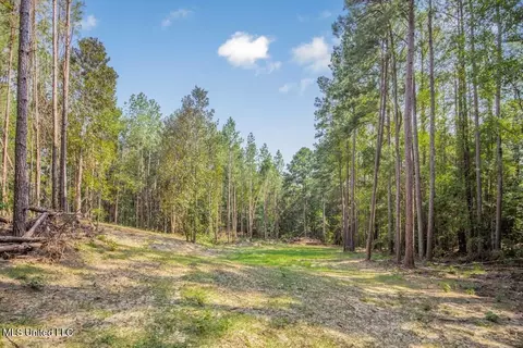 3 Cole Rd, Crosby, MS 39633 photo 12