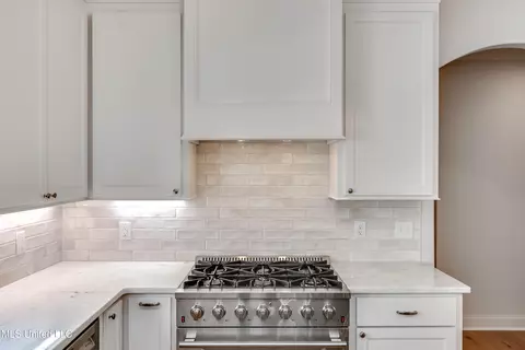 Kitchen - 320 Celadon Way, Brandon, MS 39042 photo 5 of 5