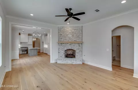 Living - 320 Celadon Way, Brandon, MS 39042 photo 1 of 3