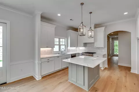 Kitchen - 320 Celadon Way, Brandon, MS 39042 photo 1 of 5
