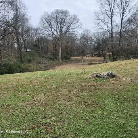 200 Pleasant Hill Rd, Nesbit, MS 38651 photo 11