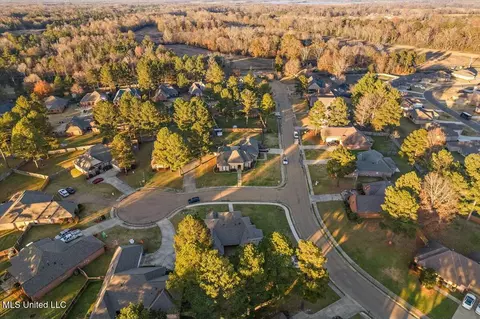 View/Area - 101 Cedar Green Cv, Canton, MS 39046 photo 2 of 3