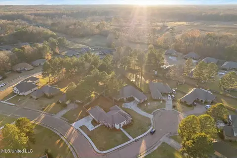 View/Area - 101 Cedar Green Cv, Canton, MS 39046 photo 3 of 3