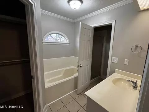 Bath - 473 Mockingbird Ln, Madison, MS 39110 photo 1 of 2