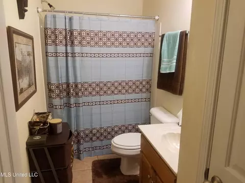 Bath - 6827 Ruby Cv, Walls, MS 38680 photo 4 of 4