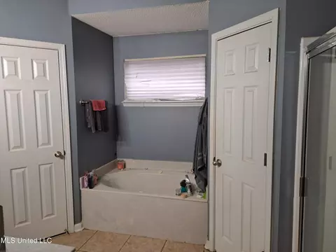 Bath - 6827 Ruby Cv, Walls, MS 38680 photo 3 of 4