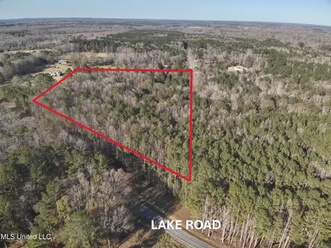 Lake Rd, Pelahatchie, MS 39145