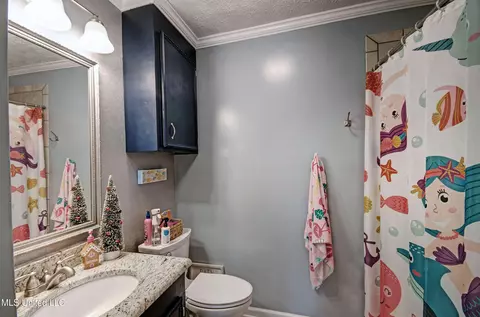 285 Hebron Hill Dr, Brandon, MS 39042 photo 35