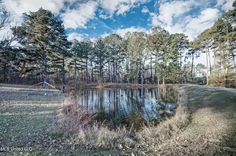 285 Hebron Hill Dr, Brandon, MS 39042 photo 9
